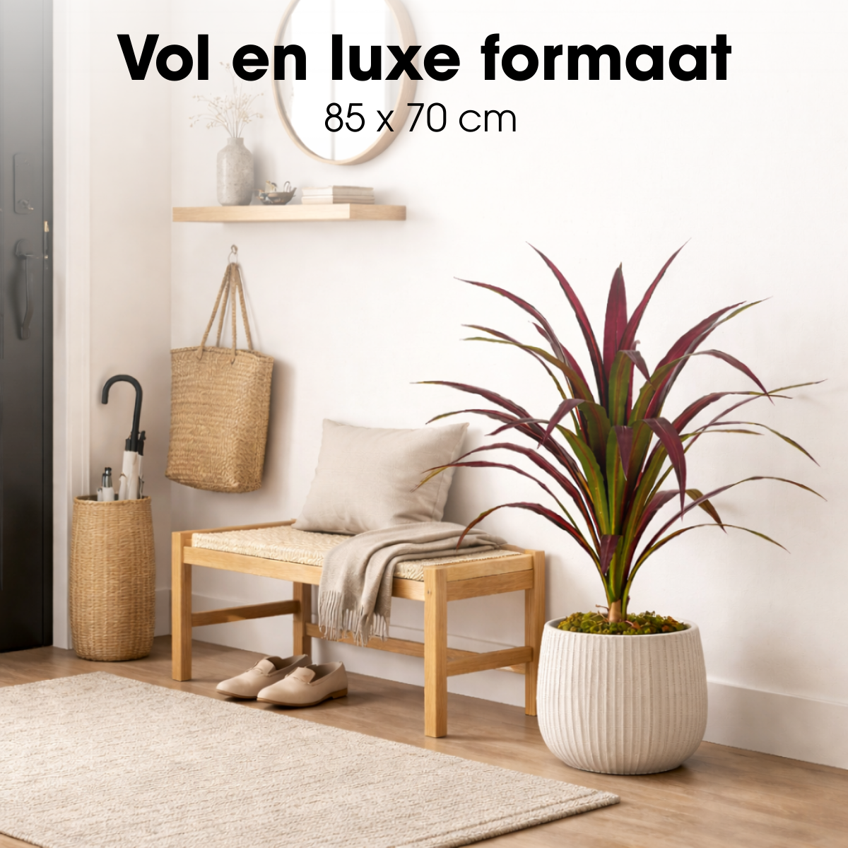 Image de diapositive
