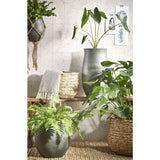 Panier à plantes Avalon Marron clair