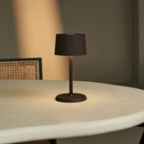 Lampe à poser rechargeable David moka
