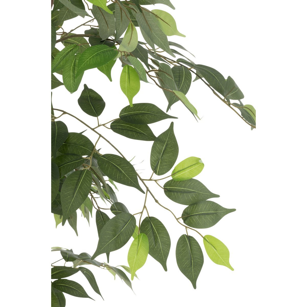 Ficus J-Line en pot, plante artificielle verte de 180 cm