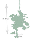 Reine de marbre Epipremnum - Scindapsus - Ø15cm - ↕25cm