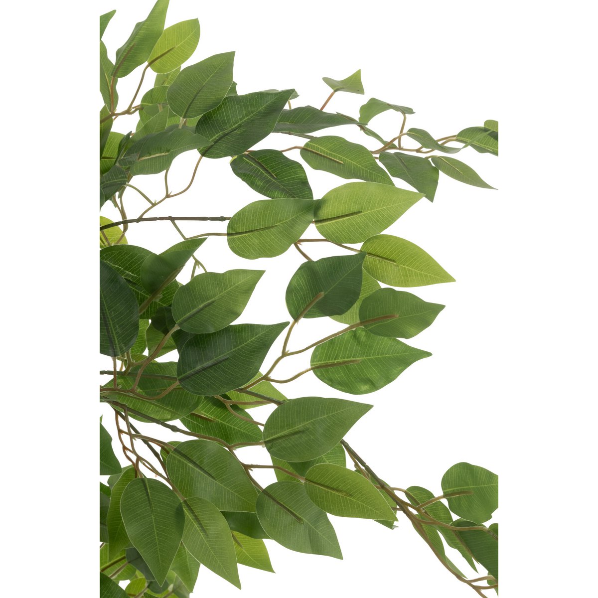 Ficus J-Line en pot - plante artificielle réaliste avec feuillage vert clair