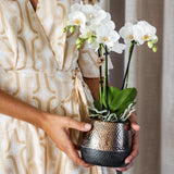 Maison Colibri | Pot Elite en cuivre - Ø9cm