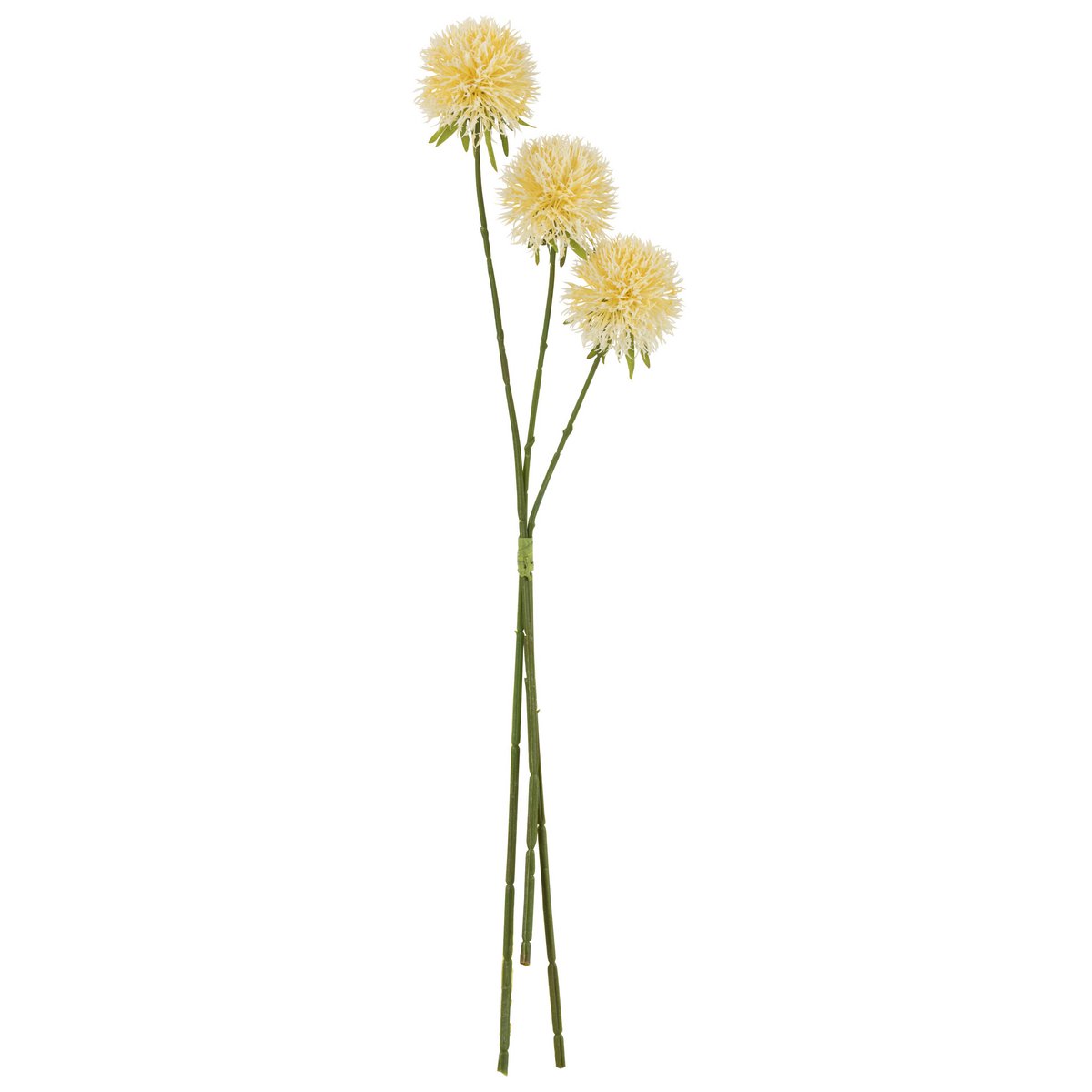 J-Line Flower Allium - Plante artificielle jaune clair, élégante et réaliste