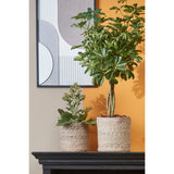 Coffret Plantenmand Atlantic Crème
