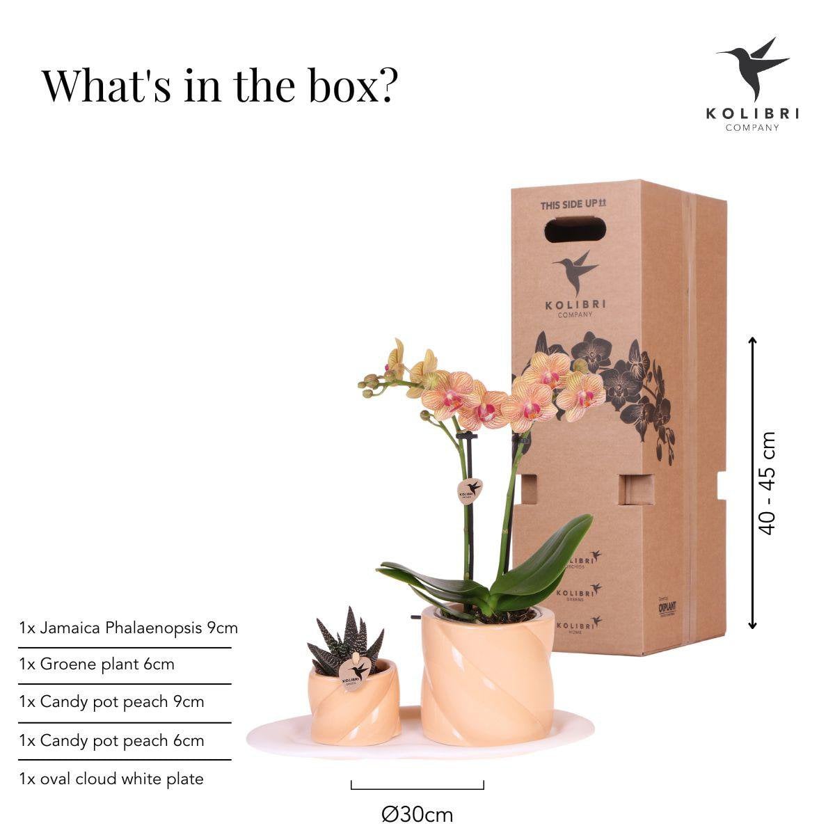 Coffret Optimisme avec orchidée Phalaenopsis orange sur plateau blanc