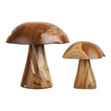 Champignons Kodi en teck naturel, vue de face