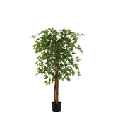 Vue d'ensemble du Ficus J-Line dans un intérieur moderne