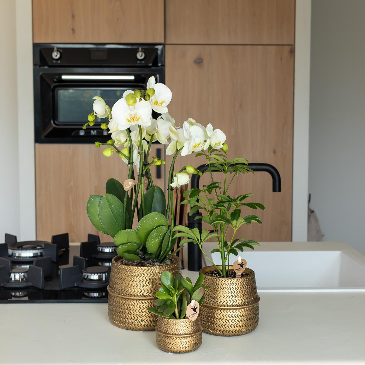 Pot de fleur en céramique dorée Ø6 cm