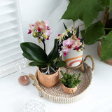 Maison Colibri | Bol décoratif - Plateau tressé blanc Ø30cm
