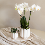 Home Kolibri | Rétro Sierpot - blanc - Ø6cm