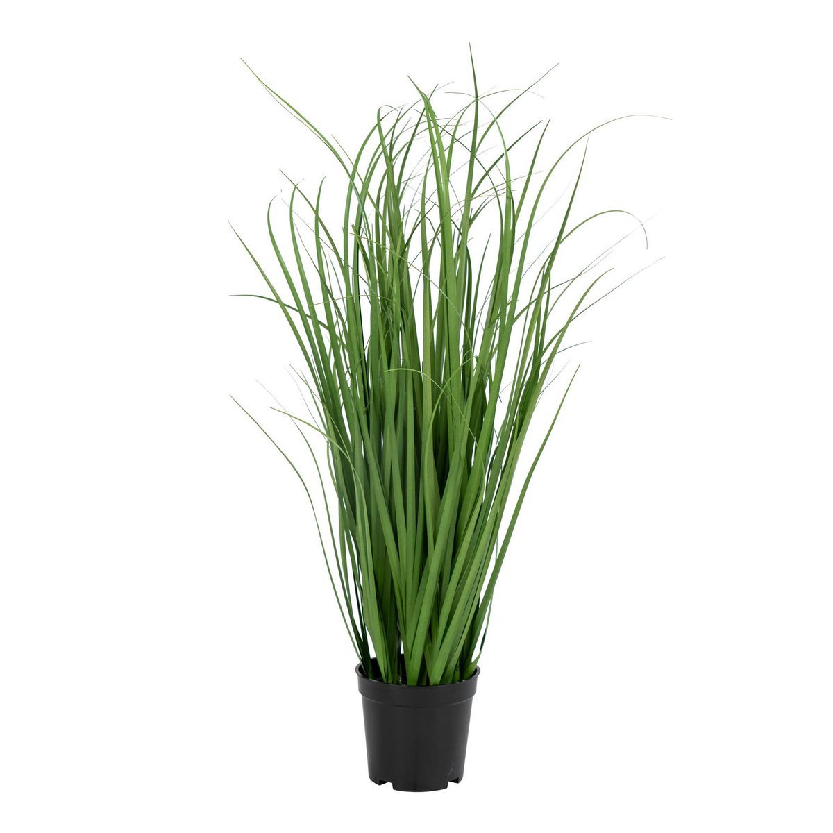 Herbe Poa artificielle avec lames vertes et pot noir, vue de face