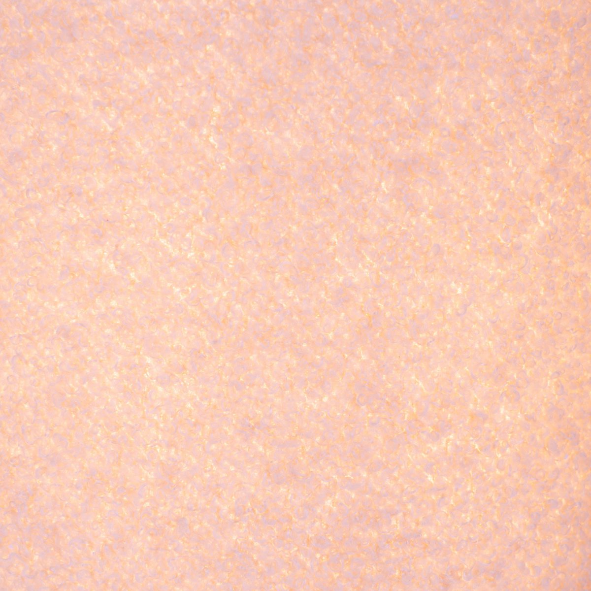Image de diapositive