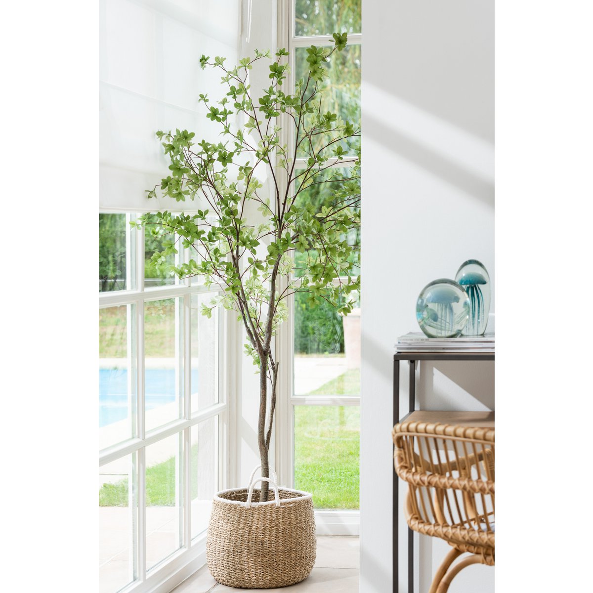 Plante J-Line dans un salon moderne, ajout de verdure.