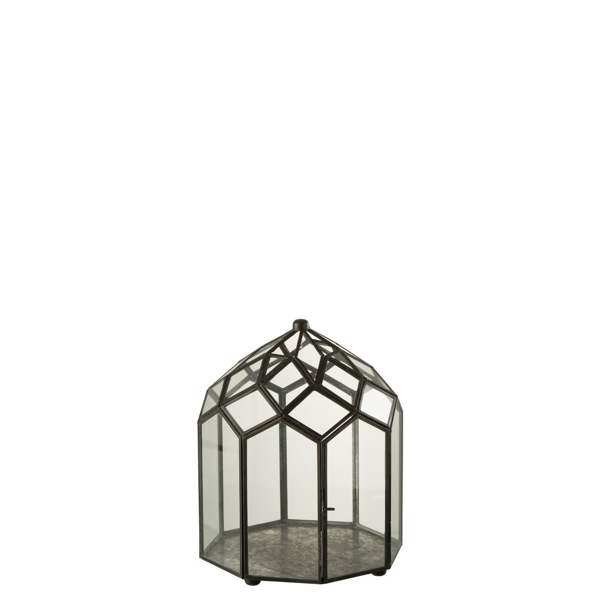 Terrarium J-Line noir en verre et métal, vue d'ensemble avec décoration