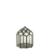 Terrarium J-Line noir en verre et métal, vue d'ensemble avec décoration