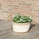 Pot de fleur campanule blanche avec panier coton et système d'arrosage