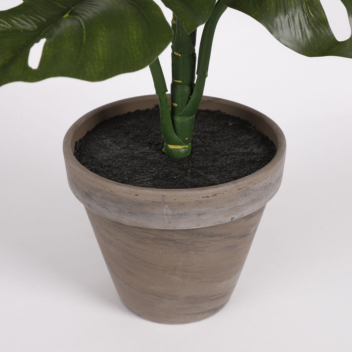 Détail des feuilles de la plante Monstera artificielle, couleur verte vibrante