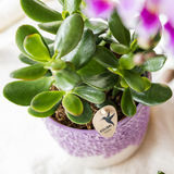 Lot de 3 cache-pots violets en résine Bloom 6 cm 9 cm 12 cm