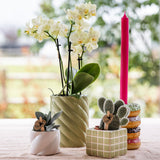 Maison Colibri | Pot décoratif de bonbons | Haut - Vert - Ø9cm
