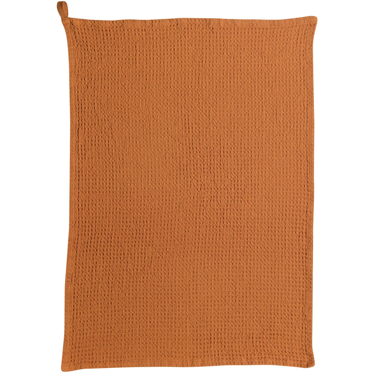 Image de diapositive