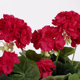 Plante artificielle Géranium Rose foncé