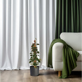 Philodendron Lupine Mobiletok - Ø16cm - ↕75cm