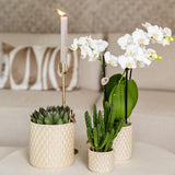 Kolibri Accueil | Sierpot perle diamant - Travertin - Ø6cm