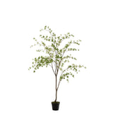 Vue latérale de la plante J-Line, dimensions et design.