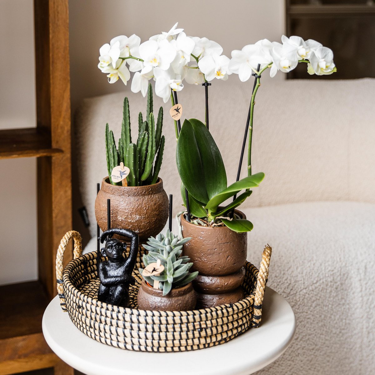 Maison Colibri | Support à plantes - Réhausse à plantes en métal noir Ø12cm
