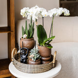 Maison Colibri | Support à plantes - Réhausse à plantes en métal noir Ø12cm