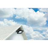 Lampe extérieure LED "Spotlight" 30W, en métal et en verre en noir, avec LED intégrée