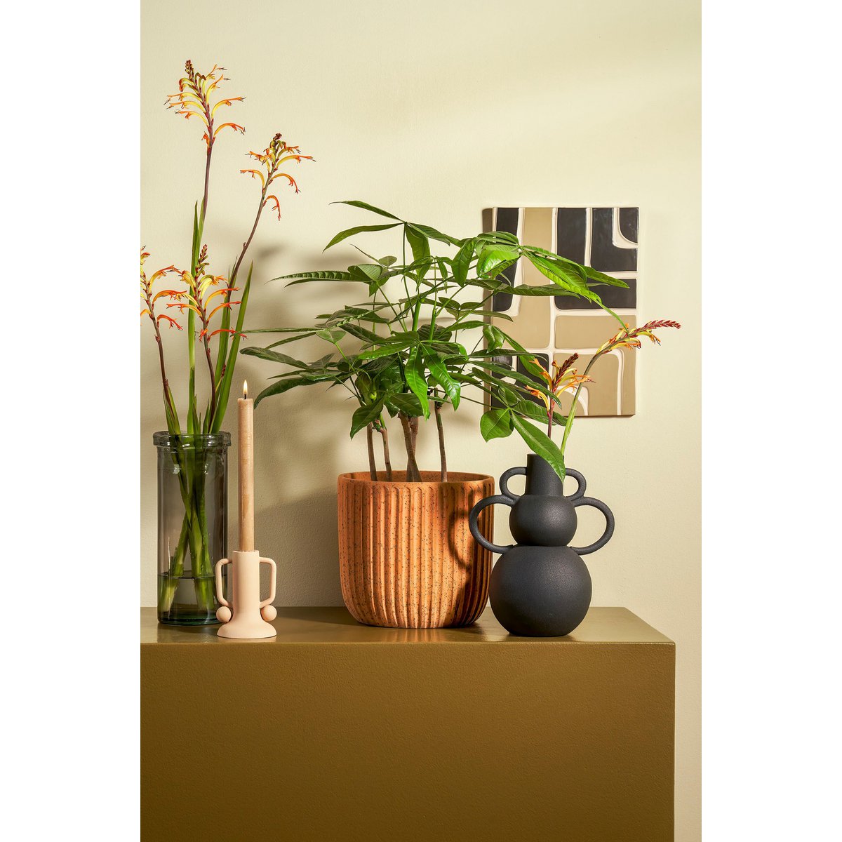 Image de diapositive