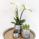 Cache-pot en céramique argenté Ø9 cm