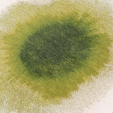 Tapis Eco - Poivre Vert - Tapis Végétal