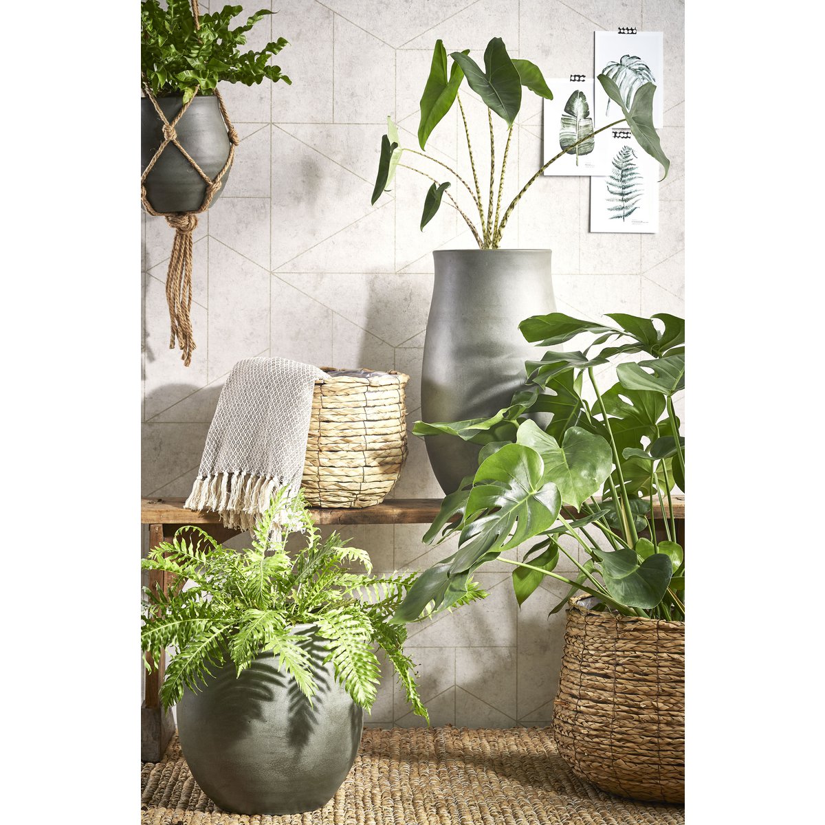 Paniers à plantes Avalon avec plantes vertes