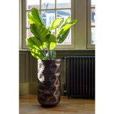 Détail de la plante Taro Wild J-Line, mettant en avant la texture réaliste des feuilles.