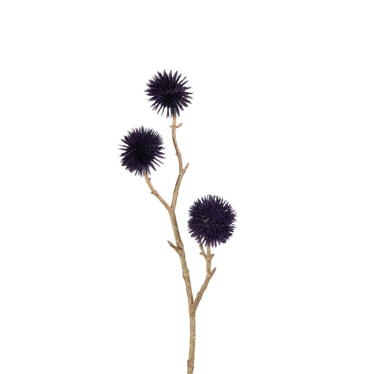 Détail de la Branche Echinops J-Line, mettant en valeur les fleurs et les couleurs