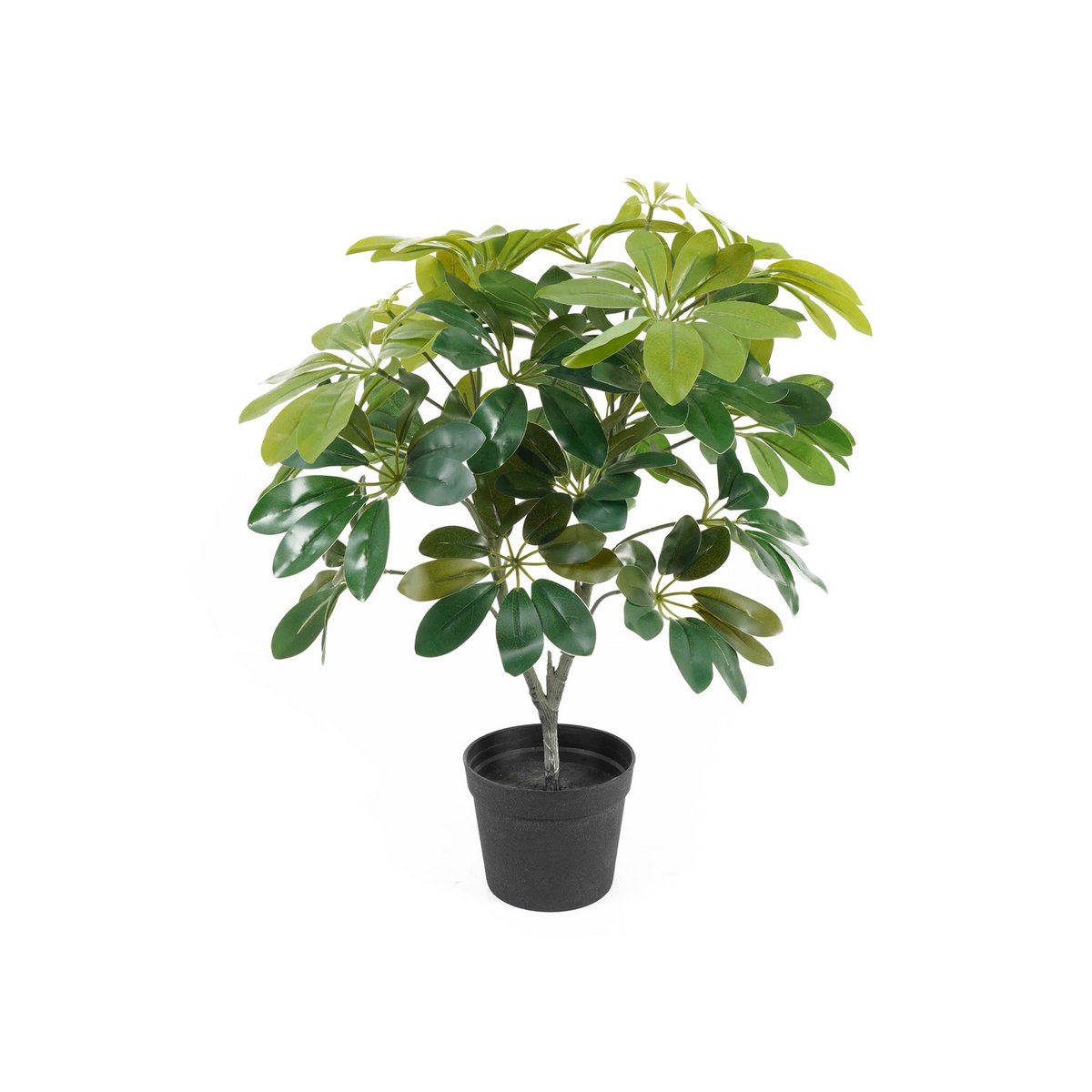 Plante Artificielle Schefflera de Present Time, feuillage vert réaliste