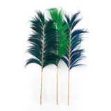 La superbe feuille - Vert émeraude