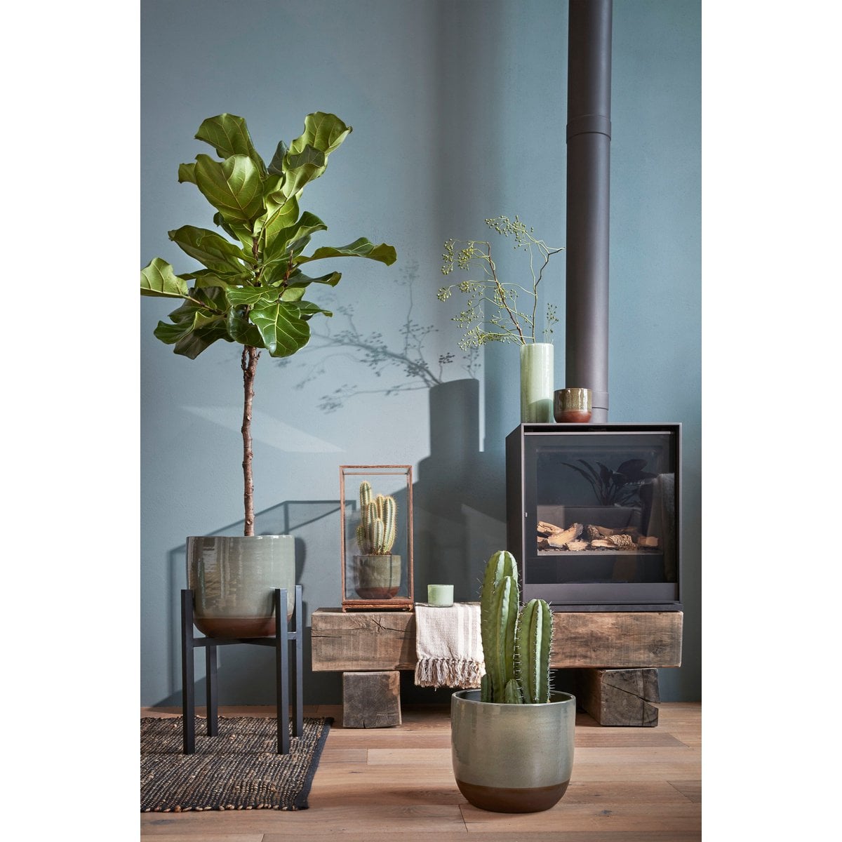 Support pour plantes Ascot Noir sur fond neutre