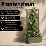 Stand de plantes à l'extérieur de Sapri Green