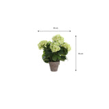 Plante d'art Hyddongea Creme