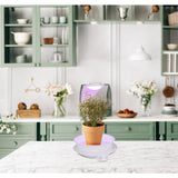 LED PLANT Tablet Light 24 cm de haut, en métal et en plastique en blanc, avec LED intégrée