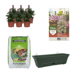 Balcon Bowl Green DIY - Erytimple Purple Glow, vue de face avec des couleurs vibrantes