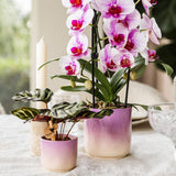 Cache-pot gradué en céramique violet Ø9 cm