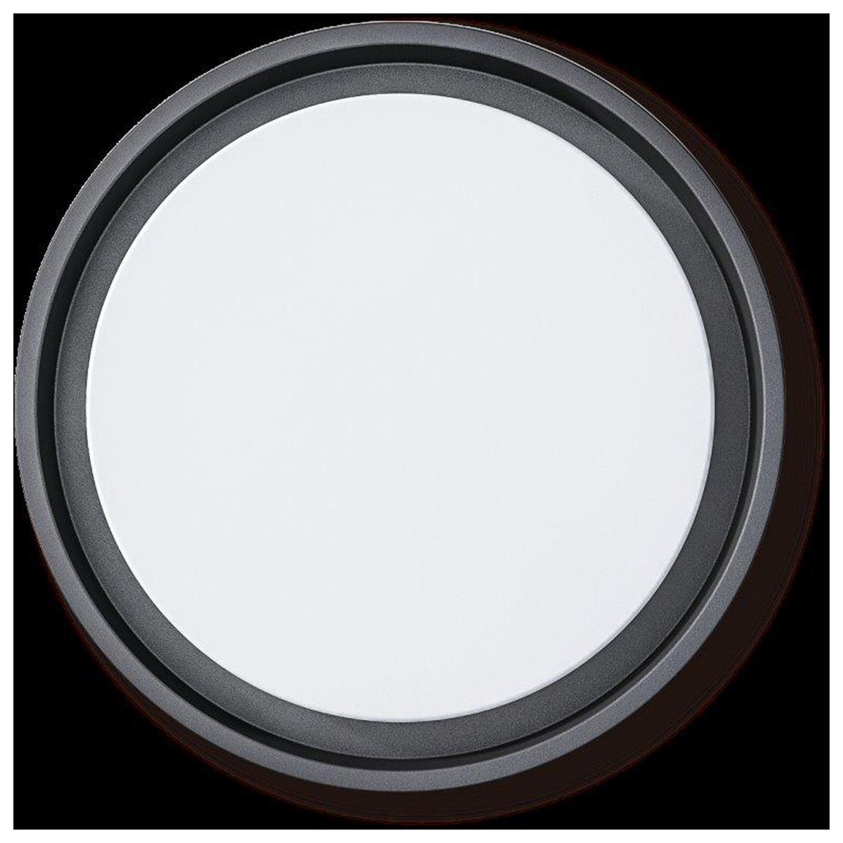 Image de diapositive