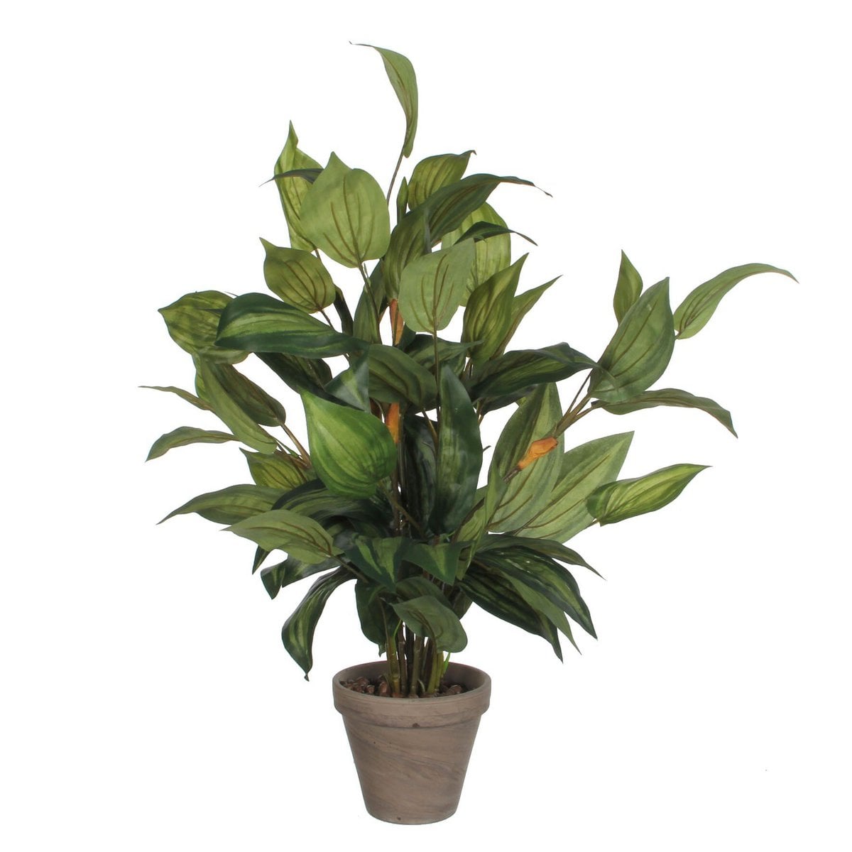 Plante artificielle Hosta verte avec feuilles détaillées et pot en terre cuite