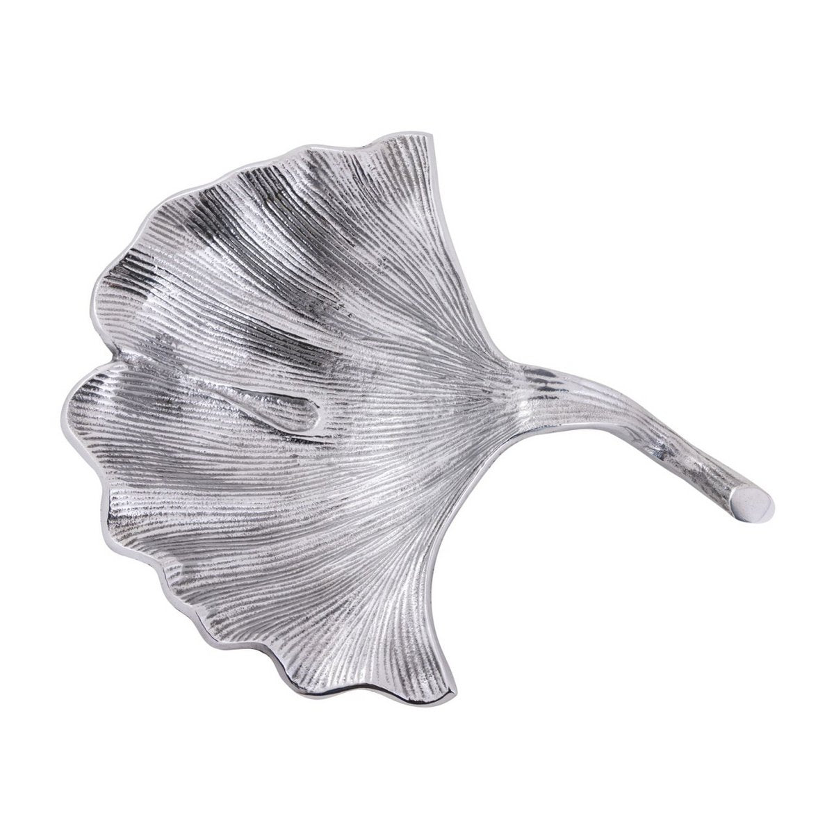 Image de diapositive