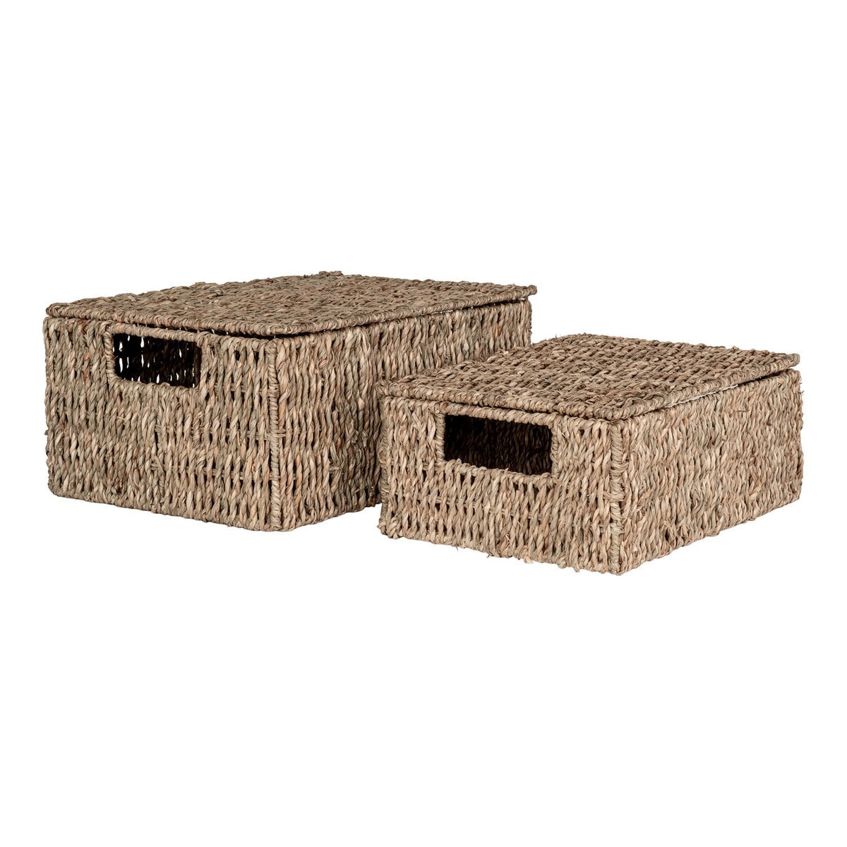 Paniers Venoso en jonc de mer, vue d'ensemble avec détails naturels.